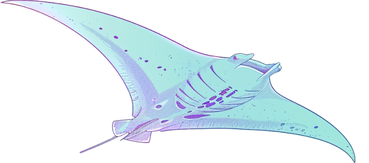 manta